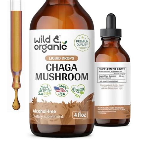 Top 5 Best Chaga Mushrooms 2025 Guides By Rebatekey