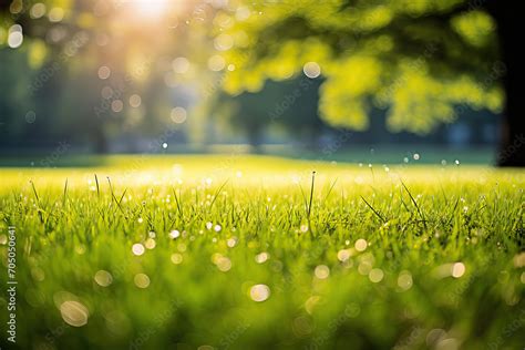 Beautiful Meadow Field With Fresh Grass And Yellow Dandelion Flowers In