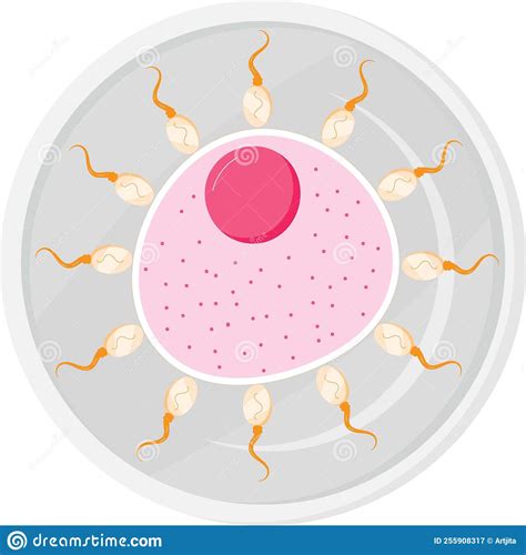 Vector De Ilusi N De Inseminaci N Artificial En Estilo Plano C Lula