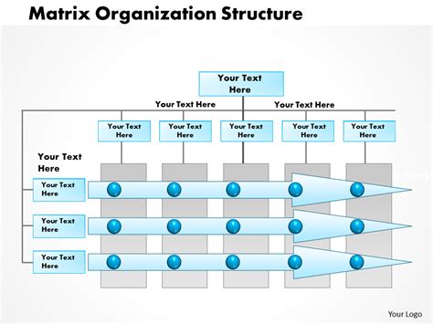 [Updated 2023] 35 Best Organizational Chart Templates to Streamline Workflow