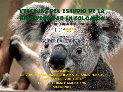 Importancia De La Biodiversidad Ppt