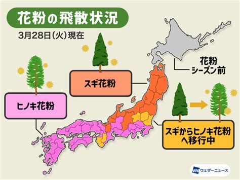 花粉飛散予想 来週中頃まで”非常に多い”予想 ヒノキ花粉飛散も本格化 4月1日 土 〜6日 木 ウェザーニュース