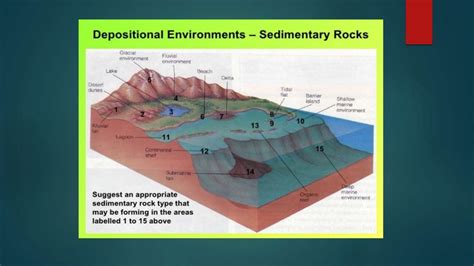 Sedimentary environments