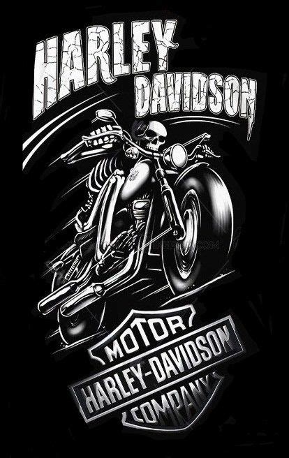 Pin By Floky On Design Harley Davidson Harley Davidson Artwork