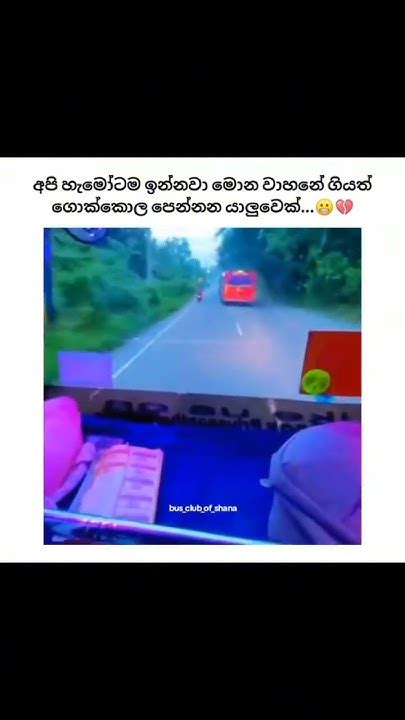 අඩෝ යනවා යැමක් අය්‍ර් කියලා වැඩැක් නැ 🤭 ️ Youtube