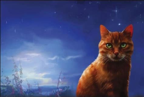 Who's the better firestar's quest cover? : r/WarriorCats