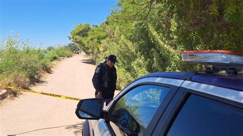 Macabro Hallazgo En Guasave Sinaloa Perros Desenterraron Restos De