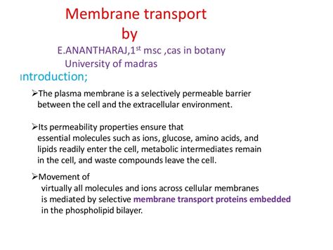 Active And Passive Transport Of Plasma Membrane