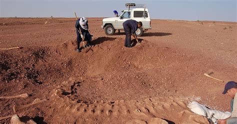 Projekt Dino Neu Entdeckte Saurier Aus Afrika Landesmuseen