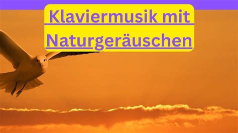 Wunderschöne beruhigende Klavier Piano Musik mit Naturgeräuschen zum