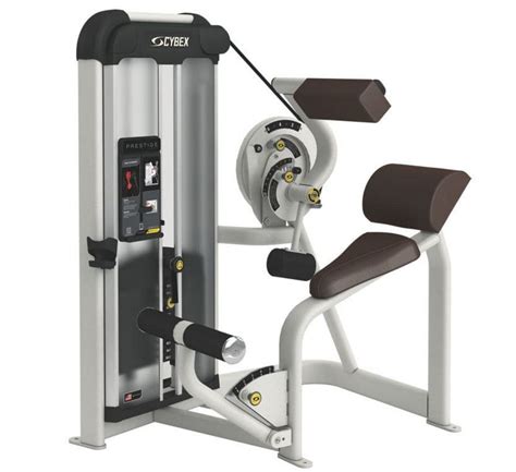 Back Extension Gym Station Prestige Strength Vrs Cybex