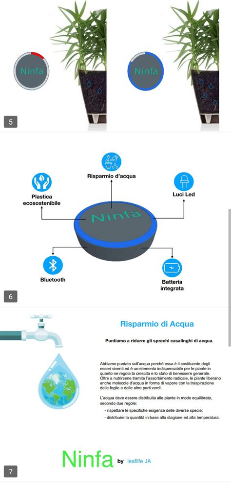 Doppio Primo Gradino Del Podio Alla Camera Di Commercio Di Udine Per