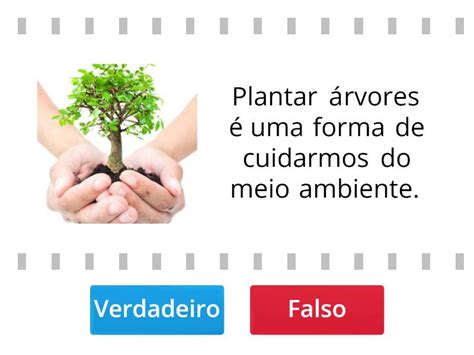 Jogo Meio Ambiente True Or False