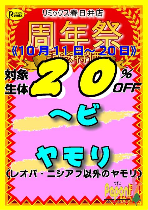 【春ペポニ】春日井周年祭スタート！！ 名古屋のペットショップ【リミックス・ペポニ】