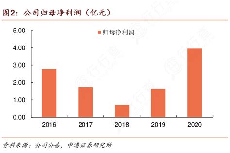 想重点关注公司归母净利润（亿元）具体情况如何行行查行业研究数据库