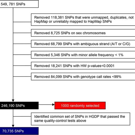 Flow Diagram Illustrating Snp Selection For Each Analysis Black