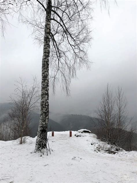 Kirschfelsen Bei Annweiler Pf Lzer Winterwanderung Binas Pfalzliebe