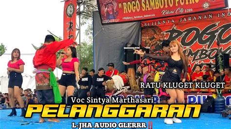 PELANGGARAN Jandhut Voc Sintya Marthasari ROGO SAMBOYO PUTRO Live Pecuk