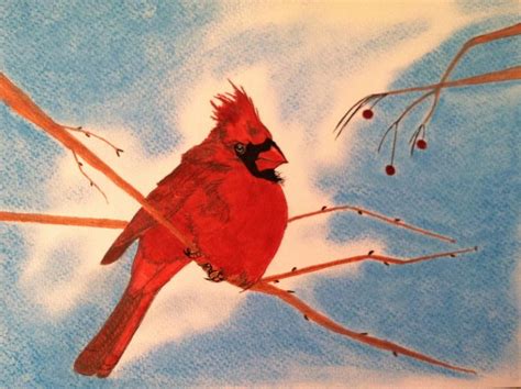 Winter Cardinal Drawing By Tony Clark Fine Art America