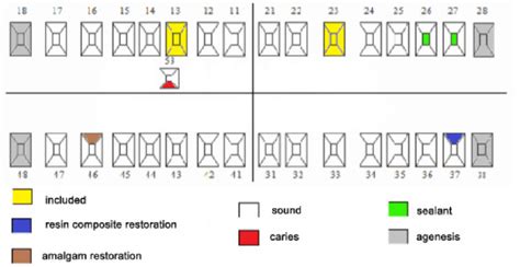 Patient's initial odontogram | Download Scientific Diagram