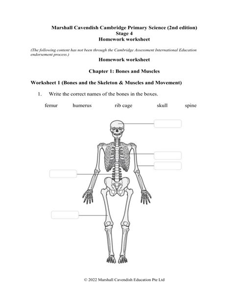 Bones, Muscles & Skeletons Worksheet