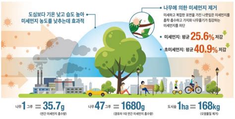 깨끗한 숲 속 공기를 도심으로서울시 2차 바람길숲 조성 나선다 서울경제