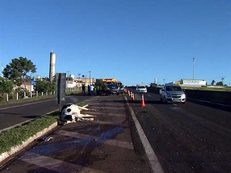 G Rodovia Em Franca Interditada Ap S Nibus Atropelar E Matar