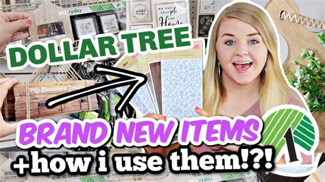 Grab These NEWEST Items For The BEST DIYS BRAND NEW Dollar Tree DIYS