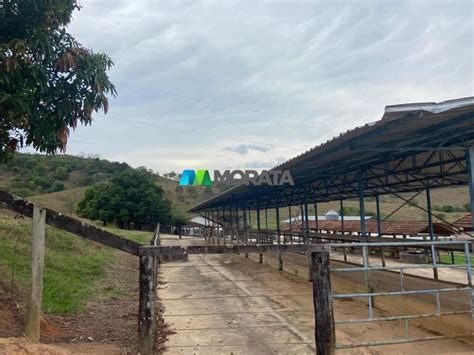 Fazenda Sítio 377 m² em Zona Rural em Nova Serrana por R 18 850 000