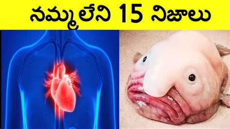 Top 15 Interesting Facts In Telugu Amazing Telugu Facts Unknown