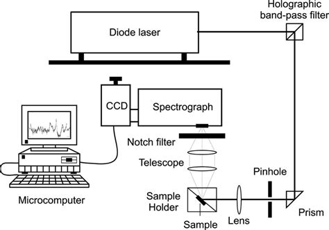 Schematic Diagram Of The Dispersive Raman Spectrometer With Excitation Download Scientific