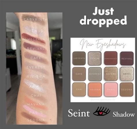 Seint Eyeshadow Swatches Eyeshadow Eyeshadow For Green Eyes