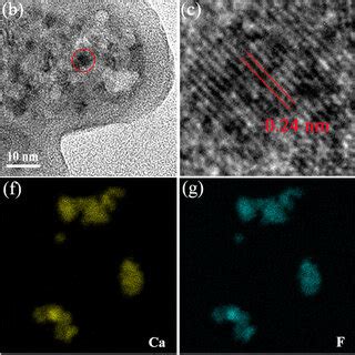 A Tem Image And Size Distribution Histogram Inset Of Cds B C