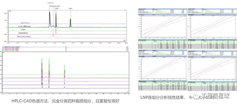 【耀文解读】mrna Lnp脂质组分检测：基于qbddoe原则开发hplc Cad分析方法 哔哩哔哩