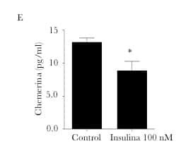 Human Chemerin Elisa Quantikine Dchm R D Systems