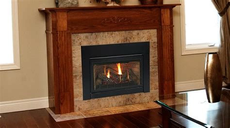 Direct Vent Propane Fireplace Insert | Home Design Ideas