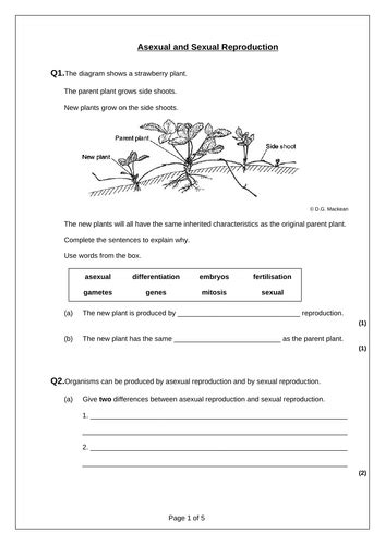 Aqa Gcse Biology Lesson 6 Asexual Sexual Reproduction Bio Only Inheritance Variation