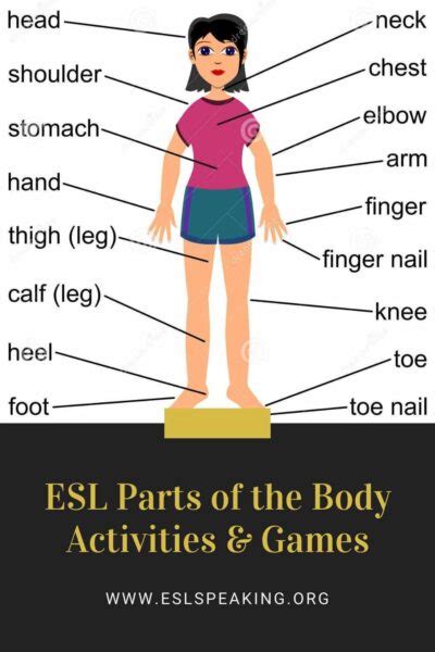 Body Parts Esl Games Activities Lesson Plans Parts Of The Body