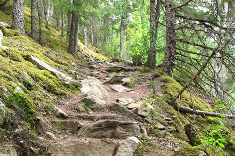 Hiking in Skagway: 8 Easy To Challenging Routes To Explore - Alaska ...