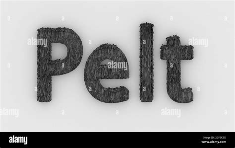 Pelt Gray Word 3d Isolated On White Background Realistic Render Of