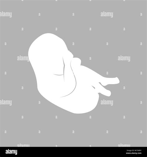 Human Growth Clipart Black And White