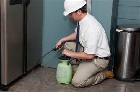 Dangers of Pest Control Foggers - Pest Control - TalkLocal Blog — Talk ...