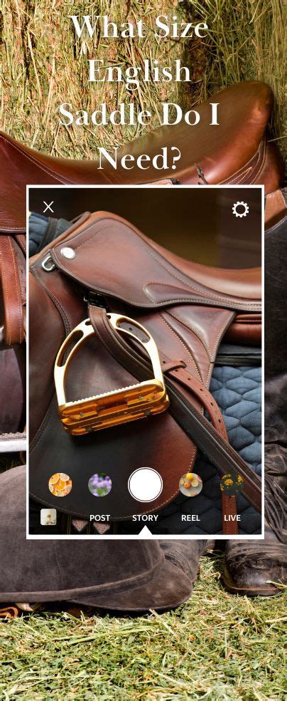 size english saddle    artofit