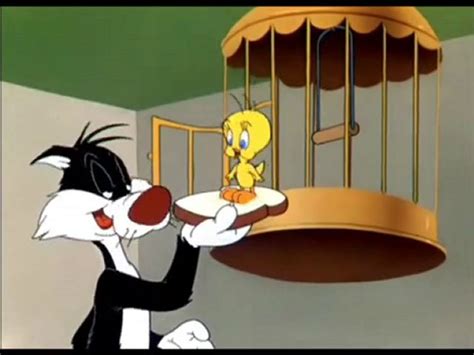 Tweety And Sylvester wallpapers, Cartoon, HQ Tweety And Sylvester ...