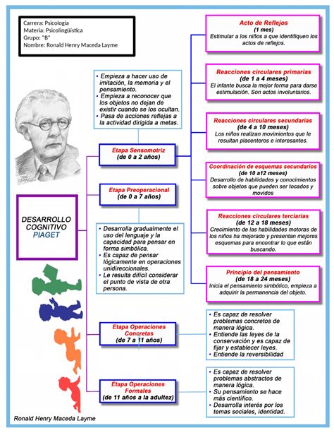 Mapa Conceptual De Las Etapas De Piaget Hotsell Ladorrego Ar