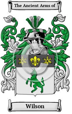 Wilson Name Meaning, Family History, Family Crest & Coats of Arms, Irish