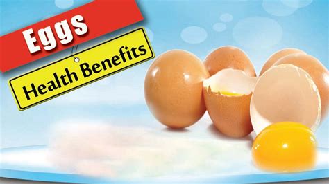 Health Benefits Of Eggs 10 Benefits Of Eggs Health Benefits 2016 — Nutripress