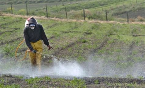 Eutrofizzazione Delle Acque Cause Fasi E Conseguenze