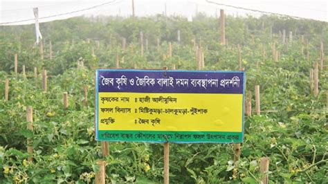 A ray of hope in organic farming - Bangladesh Post