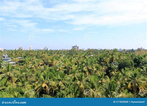 Aerial View Of Kannur City Beautiful Kerala Nature Scenery Coconut